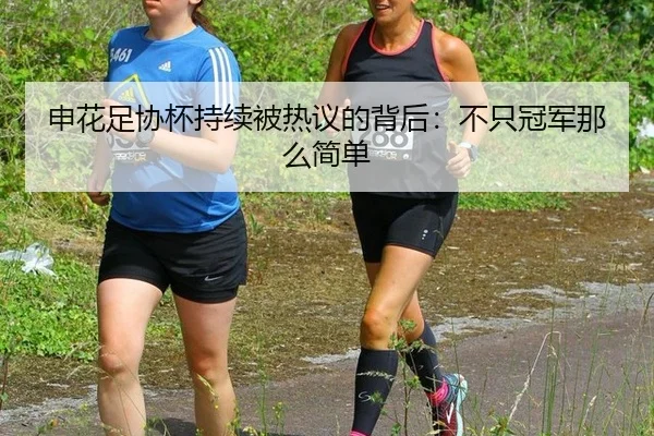 申花足协杯持续被热议的背后：不只冠军那么简单